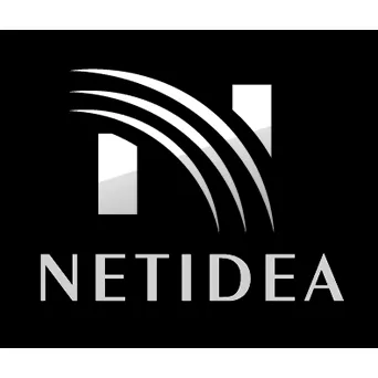 Strony internetowe Tczew Netidea